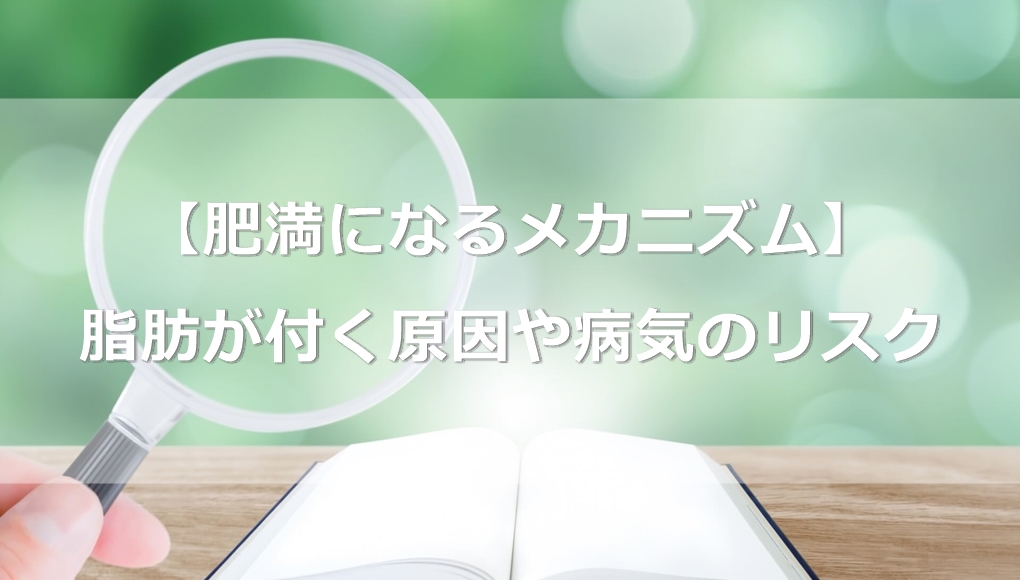 【肥満になるメカニズム】脂肪が付く原因や病気のリスクを確認